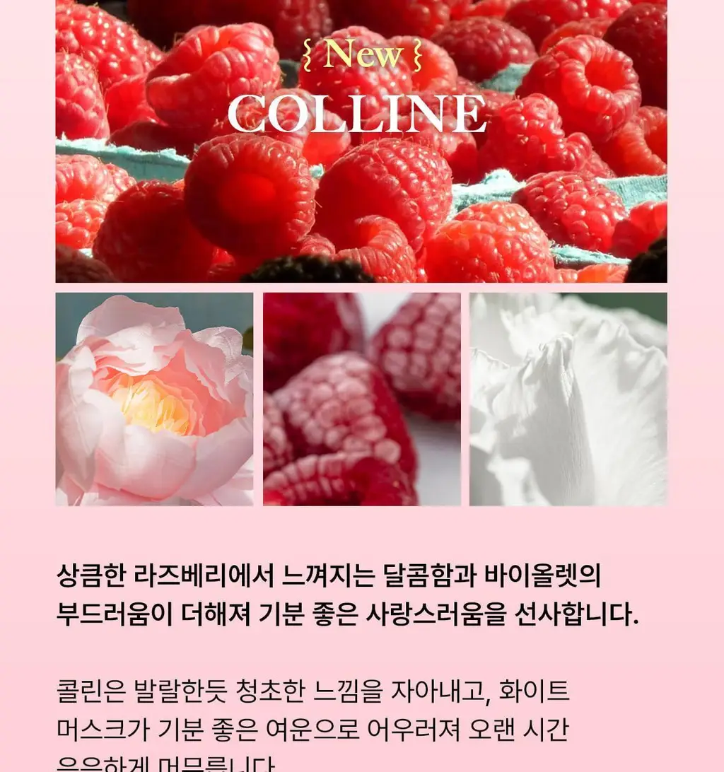 [보이넥스트도어 PICK] 비비앙 니치 섬유향수 2개입 기프트세트 3종 택 1 상세페이지 18